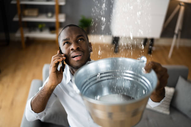 Best 24/7 water damage repair  in Cape Carteret, NC
