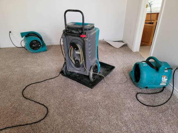 Best Carpet water damage restoration  in Cape Carteret, NC