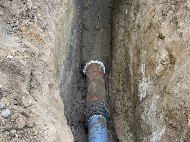Best Flood damage cleanup  in Cape Carteret, NC