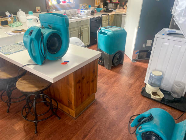 Best Water damage restoration experts  in Cape Carteret, NC