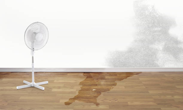 Best Water damage restoration cost  in Cape Carteret, NC