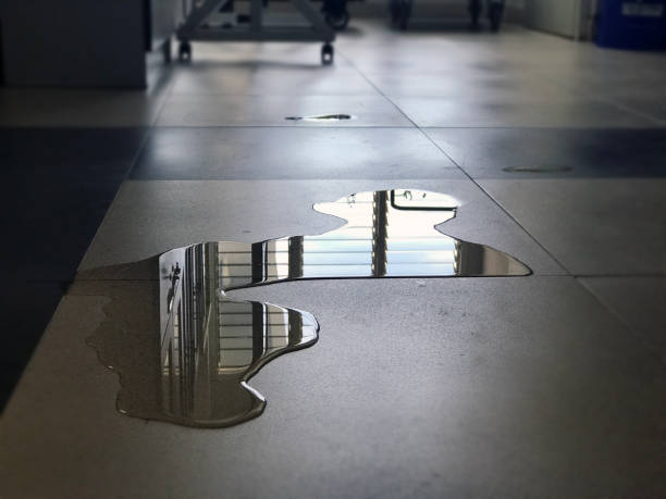 Best Water damage restoration near me  in Cape Carteret, NC