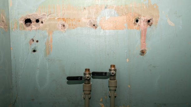 Best Water damage restoration near me  in Cape Carteret, NC