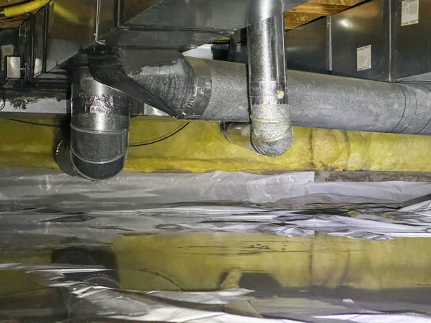 Best Sewage cleanup and water damage restoration  in Cape Carteret, NC