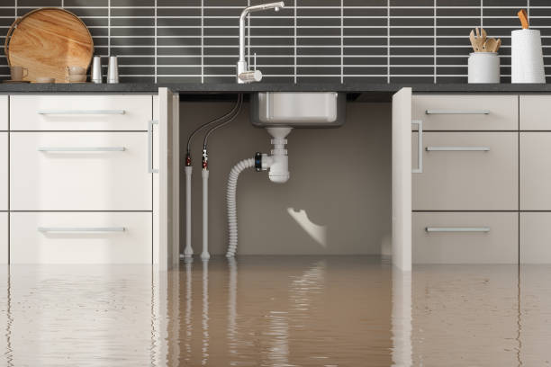 Best Flood damage cleanup  in Cape Carteret, NC
