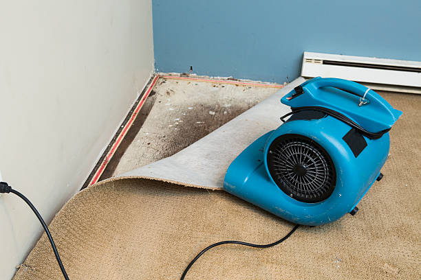 Best Flood restoration services  in Cape Carteret, NC
